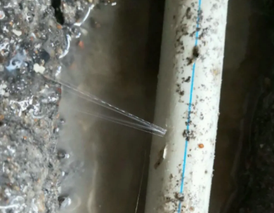 蒙山测漏水哪家好