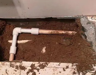 蒙山测漏水哪家好