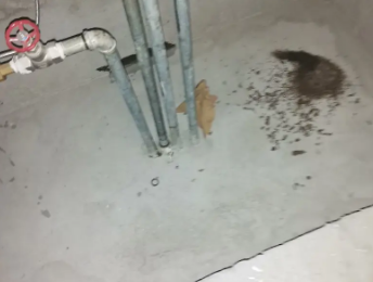 蒙山卫生间测漏水价格明细