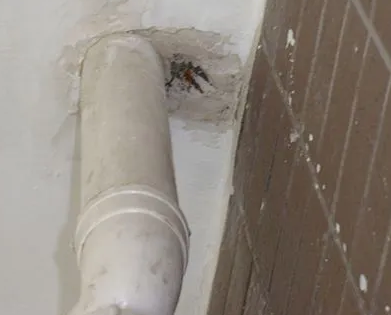 蒙山漏水检测哪家好